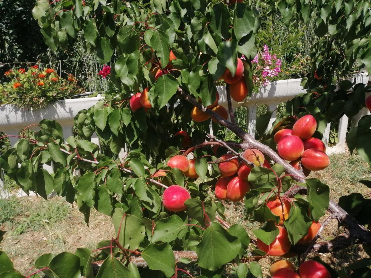 Santa Sofia d'Epiro Agriturismo Vemiヴィラ エクステリア 写真