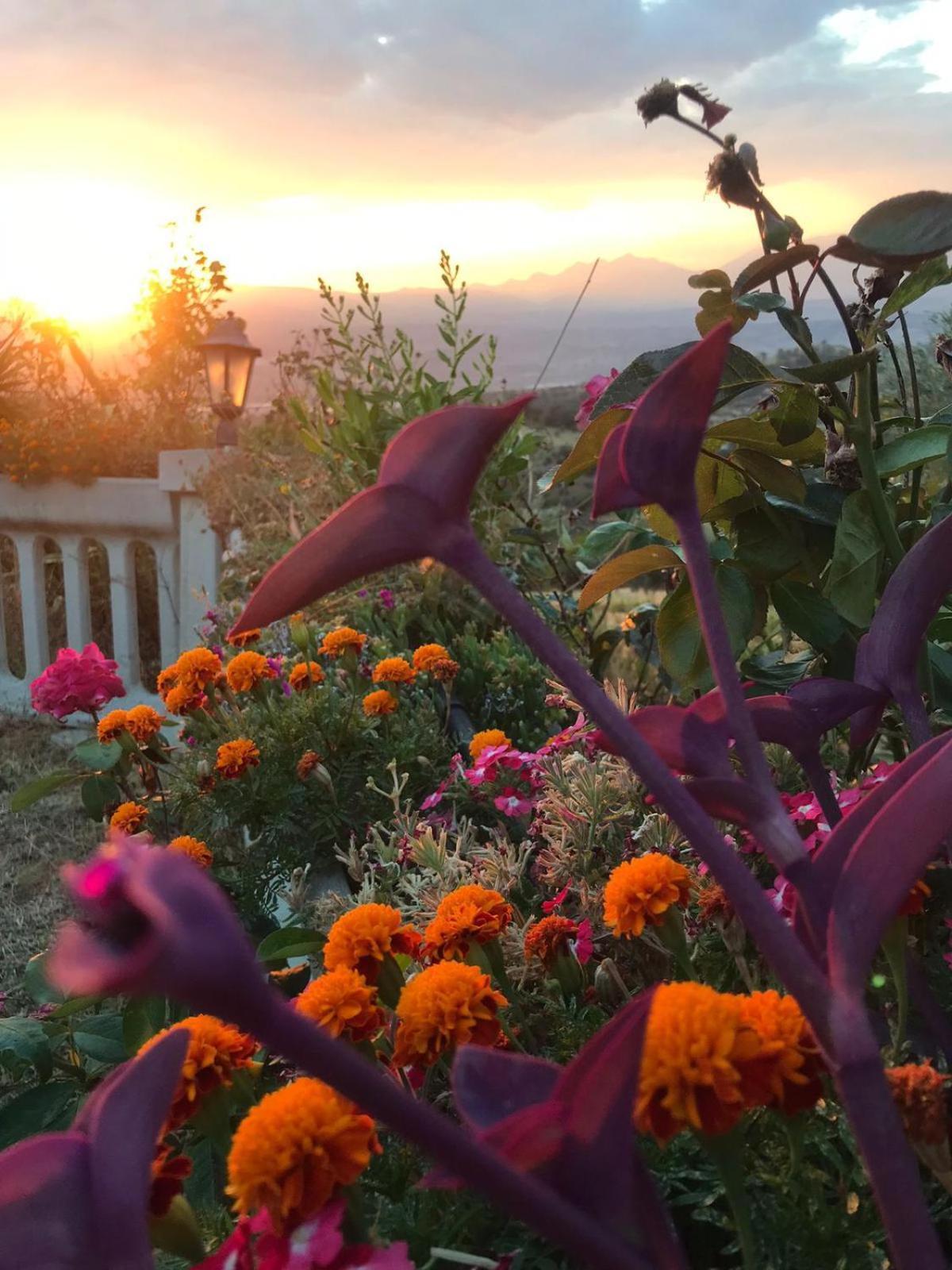 Santa Sofia d'Epiro Agriturismo Vemiヴィラ エクステリア 写真